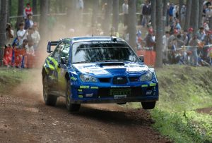 Hur många hästar har en rallybil?